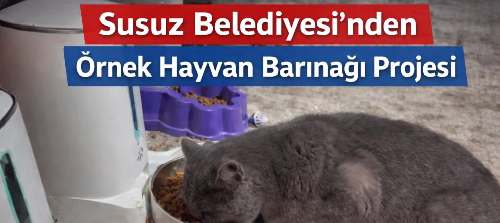 Susuz Belediyesi’nden Örnek Hayvan Barınağı Projesi