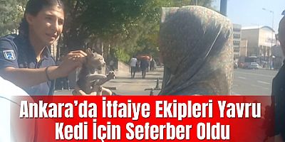 Ankara’da İtfaiye Ekipleri Yavru Kedi İçin Seferber Oldu