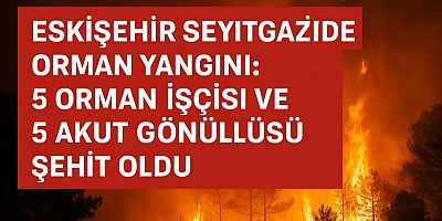 Eskişehir Seyitgazi’de Orman Yangını: 5 Orman İşçisi ve 5 AKUT Gönüllüsü Şehit Oldu