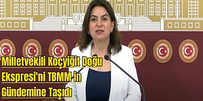 Kars Milletvekili Koçyiğit, Doğu Ekspresini TBMM gündemine taşıdı