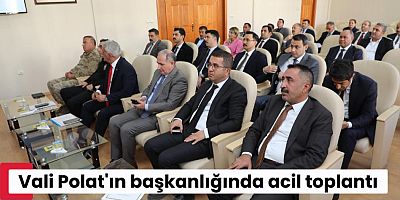 Kars Valisi Ziya Polat Başkanlığında “İl Hayvanları Koruma Kurulu” Toplantısı Gerçekleştirildi