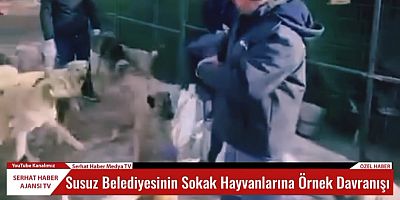 Susuz Belediye Başkanı Oğuz Yantemur'dan Sokak Hayvanlarına Örnek Davranış