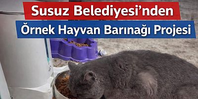 Susuz Belediyesi’nden Örnek Hayvan Barınağı Projesi