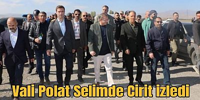 Vali Ziya Polat, Selim'de at yarışı ve cirit müsabakası etkinliklerine katıldı