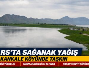 Kars’ta Sağanak Yağış Taşkına Neden Oldu: Kalkankale Köyünde Tarım Arazileri Sular Altında