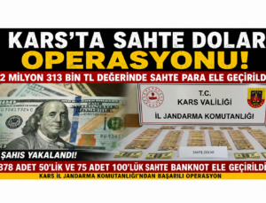 KARS’TA SAHTE DOLAR OPERASYONU 2 MİLYON 313 BİN TL DEĞERİNDE SAHTE PARA ELE GEÇİRİLDİ