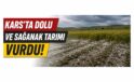 Kars’ta Dolu ve Sağanak Tarımı Vurdu: Ziraat Odalarından Hasar Tespiti ve Destek Çağrısı