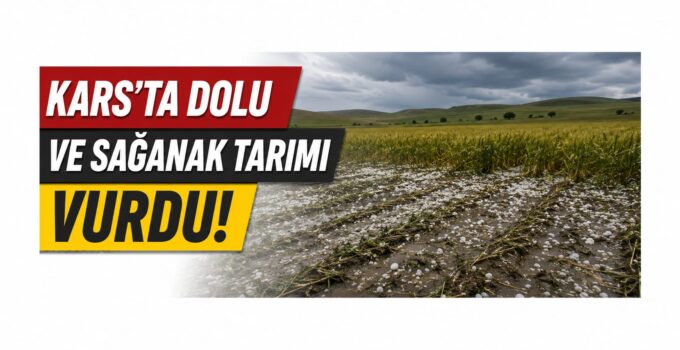 Kars’ta Dolu ve Sağanak Tarımı Vurdu: Ziraat Odalarından Hasar Tespiti ve Destek Çağrısı